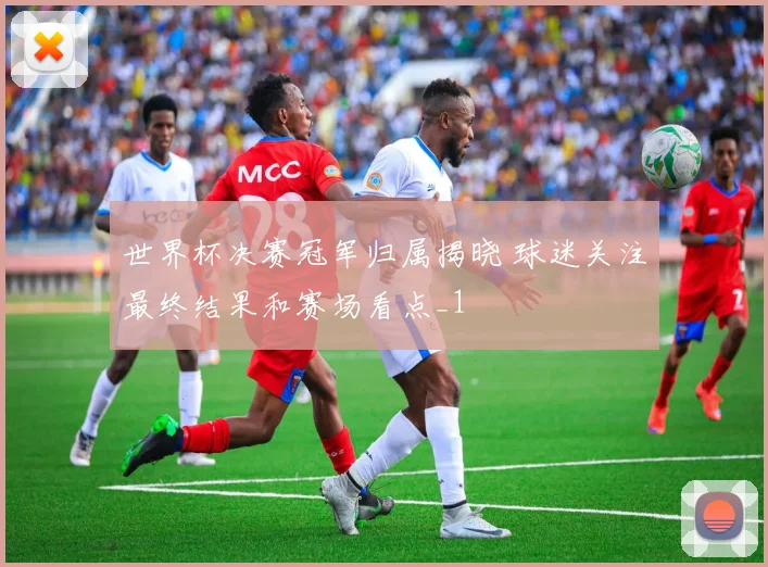 世界杯决赛冠军归属揭晓 球迷关注最终结果和赛场看点_1