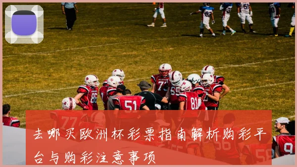 去哪买欧洲杯彩票指南解析购彩平台与购彩注意事项