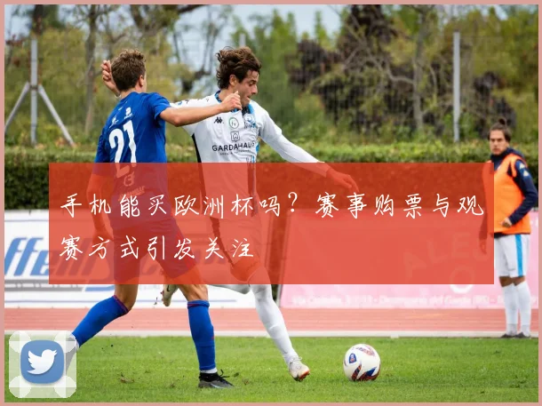 手机能买欧洲杯吗?赛事购票与观赛方式引发关注