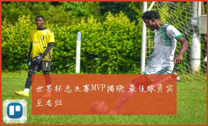 世界杯总决赛MVP揭晓 最佳球员实至名归