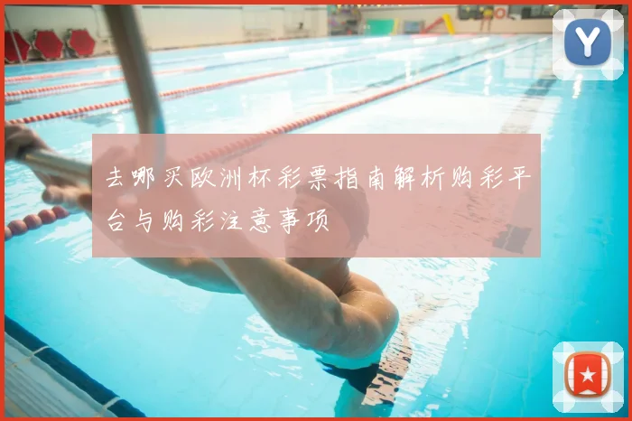去哪买欧洲杯彩票指南解析购彩平台与购彩注意事项
