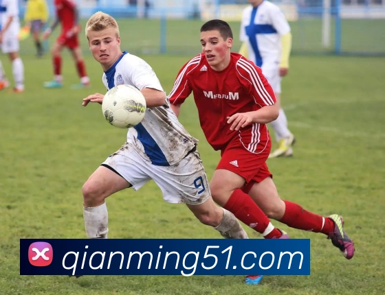 世界杯开户平台服务体系